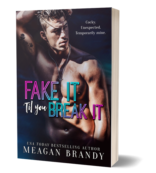 Fake It Til You Break It Model